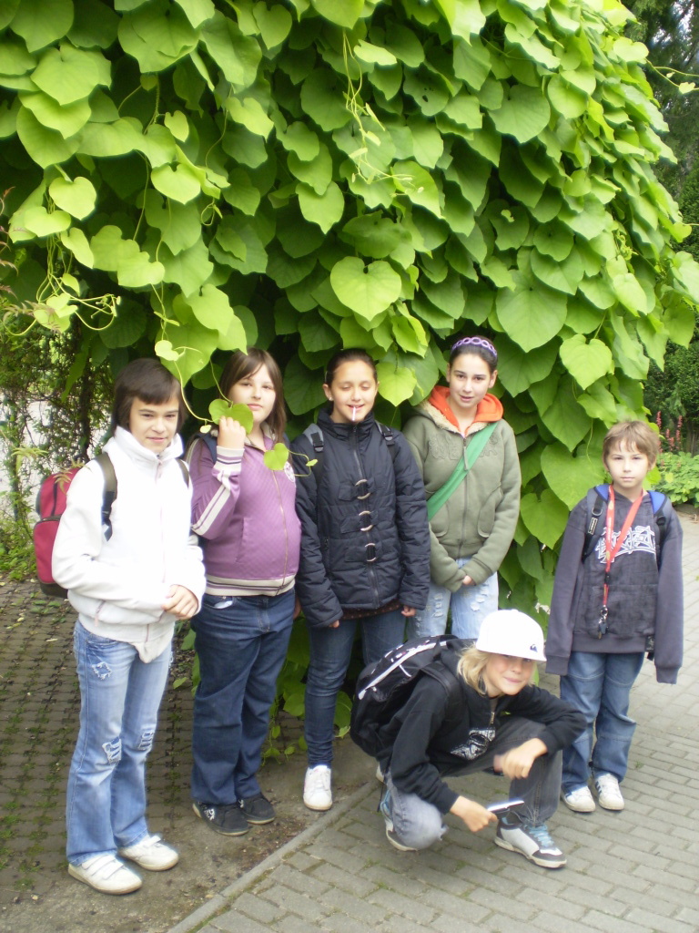 Smysly 003.jpg