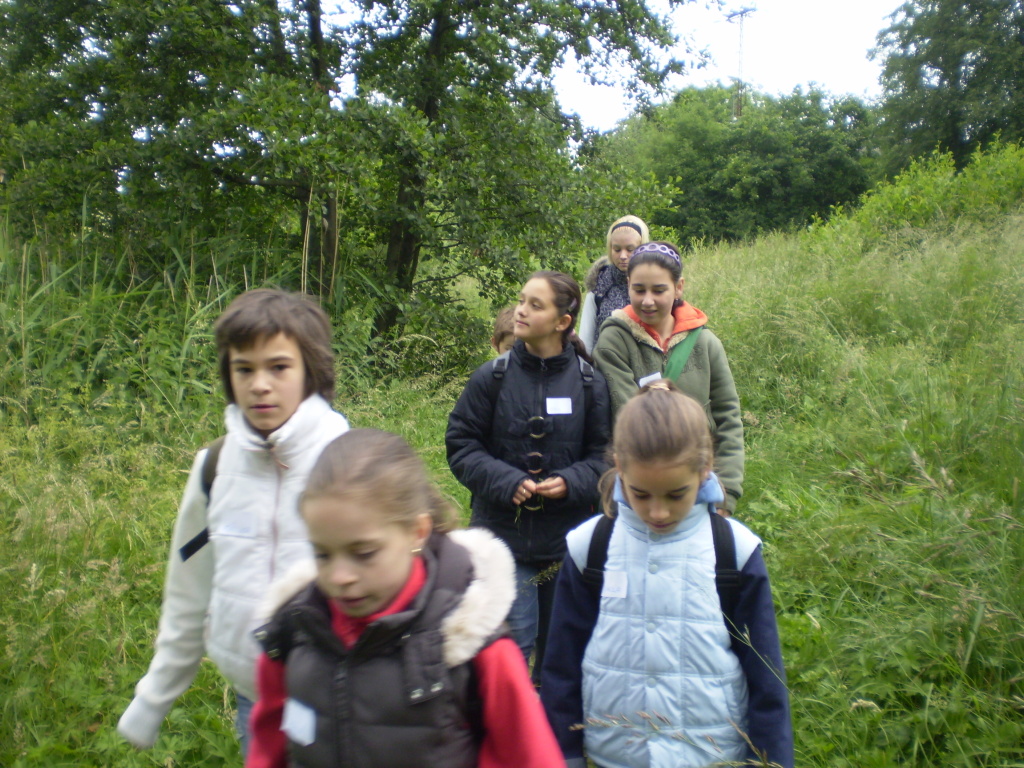 Smysly 017.jpg