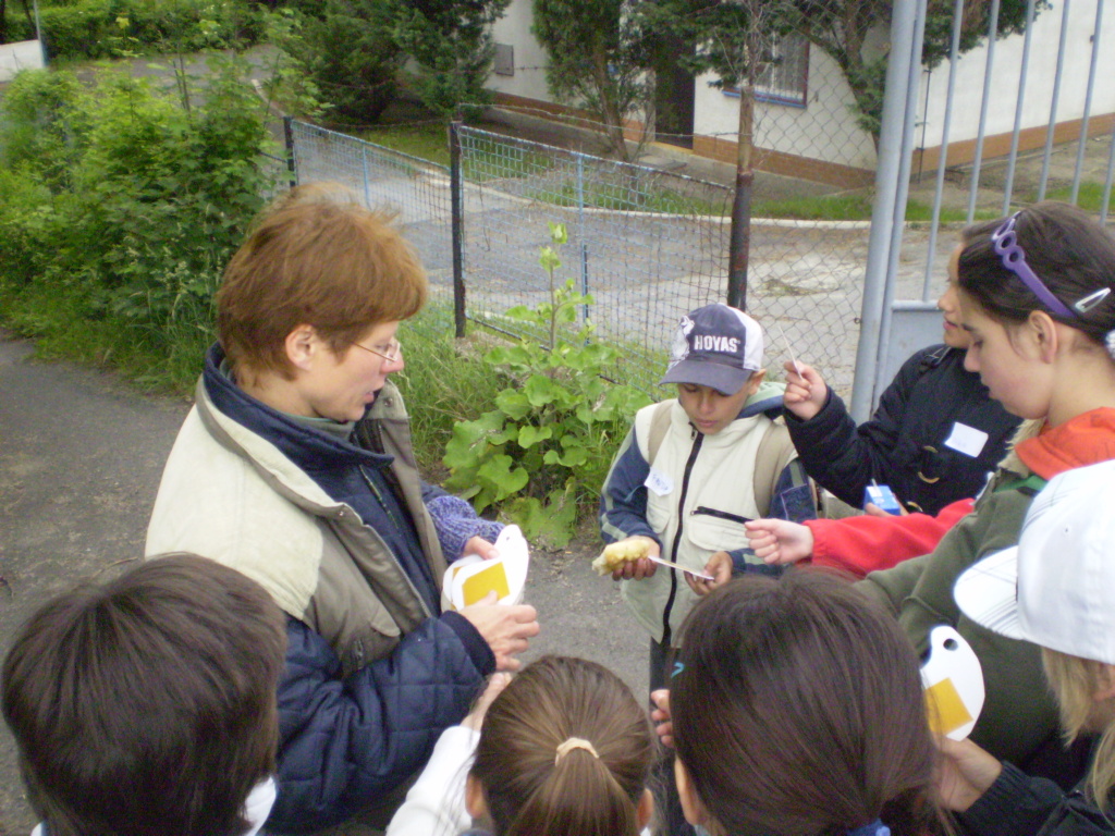 Smysly 090.jpg